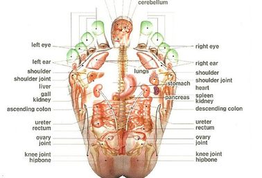 Massager para los puntos de la acupuntura, Reflexology del pie de Shiatsu del corazón del Tourmaline